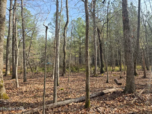 $180,000 | 0 Cottonwood Trail, Sunbright, TN 37872