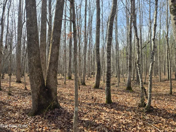 $180,000 | 0 Cottonwood Trail, Sunbright, TN 37872