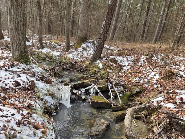 $180,000 | 0 Cottonwood Trail, Sunbright, TN 37872