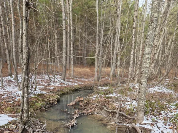 $180,000 | 0 Cottonwood Trail, Sunbright, TN 37872