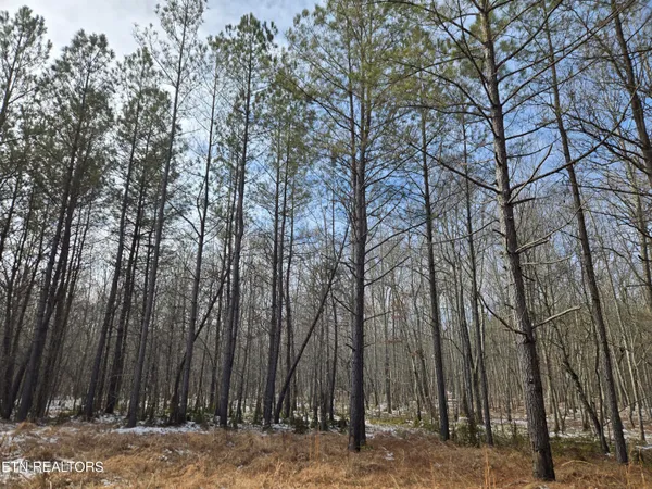 $180,000 | 0 Cottonwood Trail, Sunbright, TN 37872