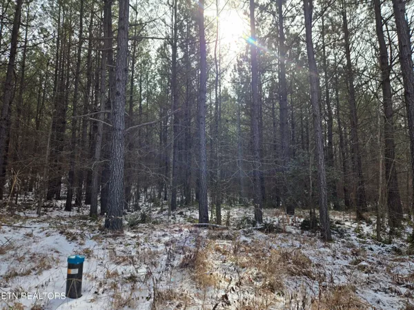 $180,000 | 0 Cottonwood Trail, Sunbright, TN 37872