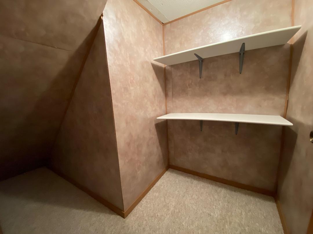306 Andrew Street Dwight, IL 60420 - Photo 20 of 25 a view of walk in closet