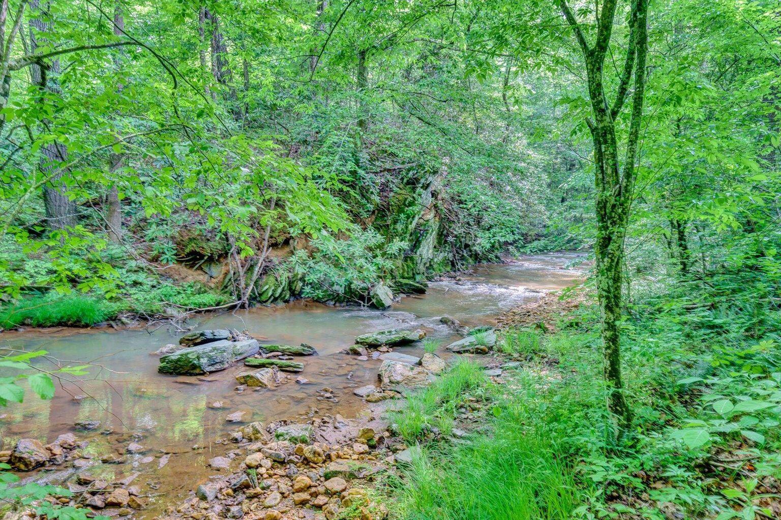 0 Fairy Stone Park Road Ferrum, VA 24088 - Photo 2 of 2 a view of a lake with large trees