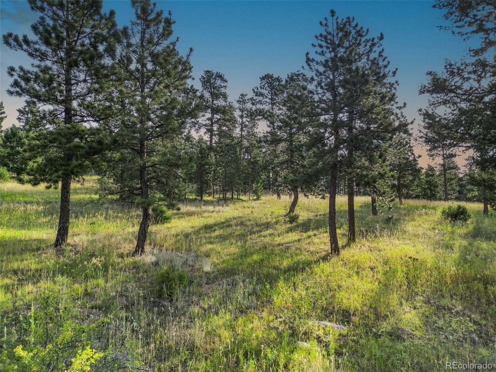26545 Richmond Hill Road Conifer, CO 80433 - Photo 2 of 33