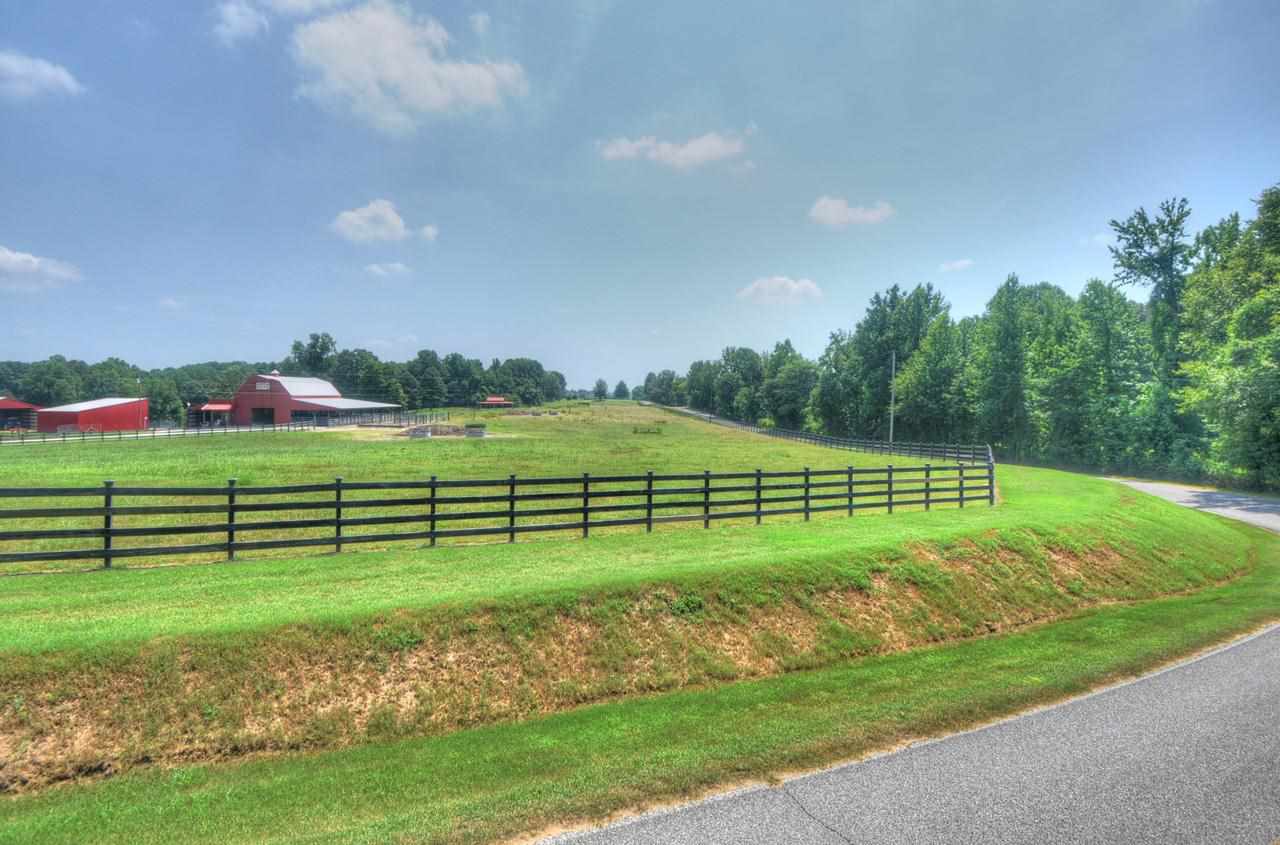 1895 Barlow Road Ripley, TN 38063 - Photo 3 of 25 View from front porch