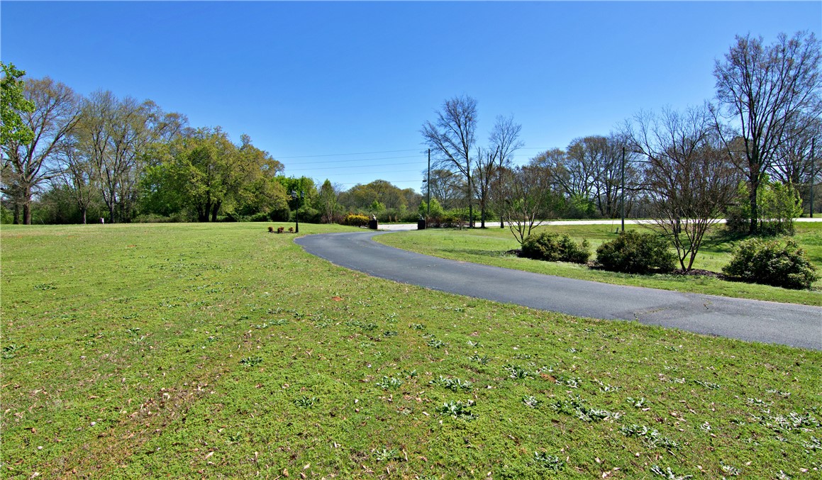 7893 Athens Road Carnesville, GA 30521 - Photo 36 of 50 A winding asphalt driveway leads through a vibrant green landscape under a clear blue sky.
