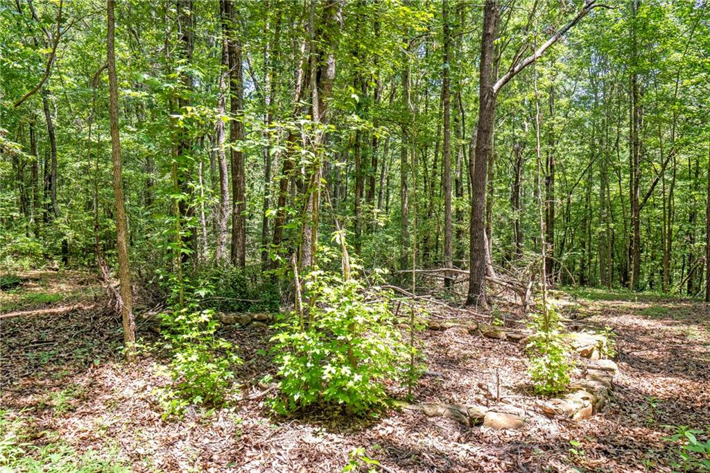 533 Mulberry Road Winder, GA 30680 - Photo 25 of 30