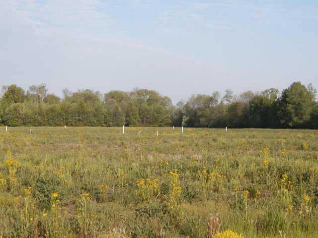 0 Burnt Pond Road, Unit TR #7 Ostrander, OH 43061 - Photo 1 of 1