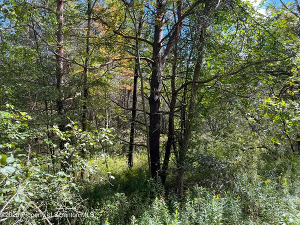 a backyard of a house with lots of trees
