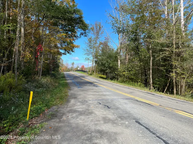 a view of a yard and entertaining space