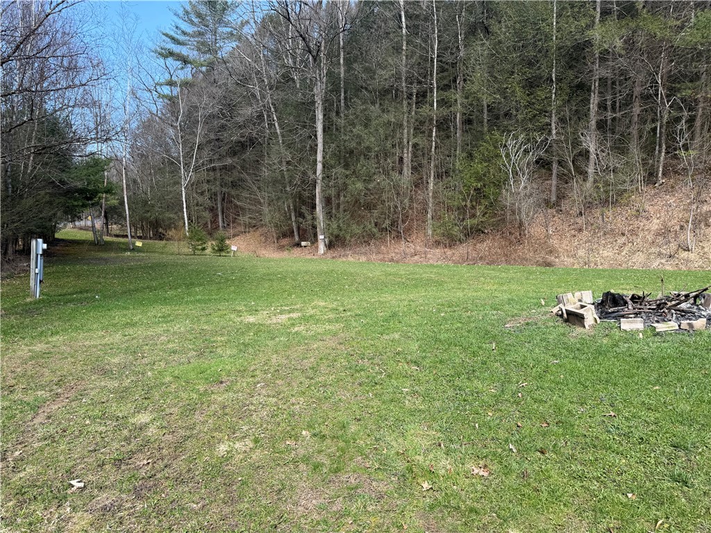 4150 Wilson Hollow Road Hornby, NY 14830 - Photo 4 of 25