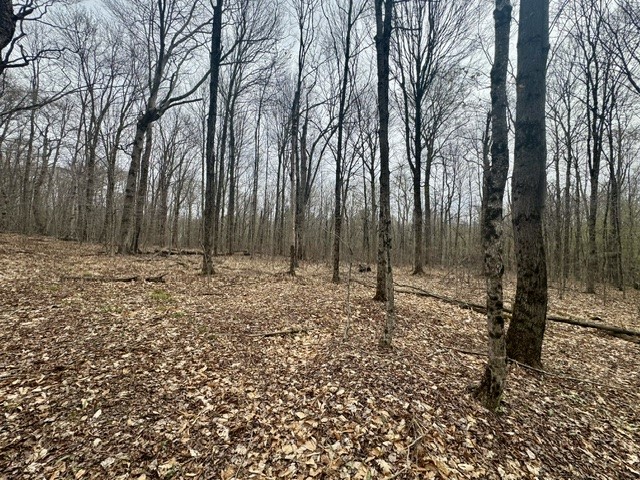 Lot 4 Shaver Hill Road Meridale, NY 13806 - Photo 20 of 44