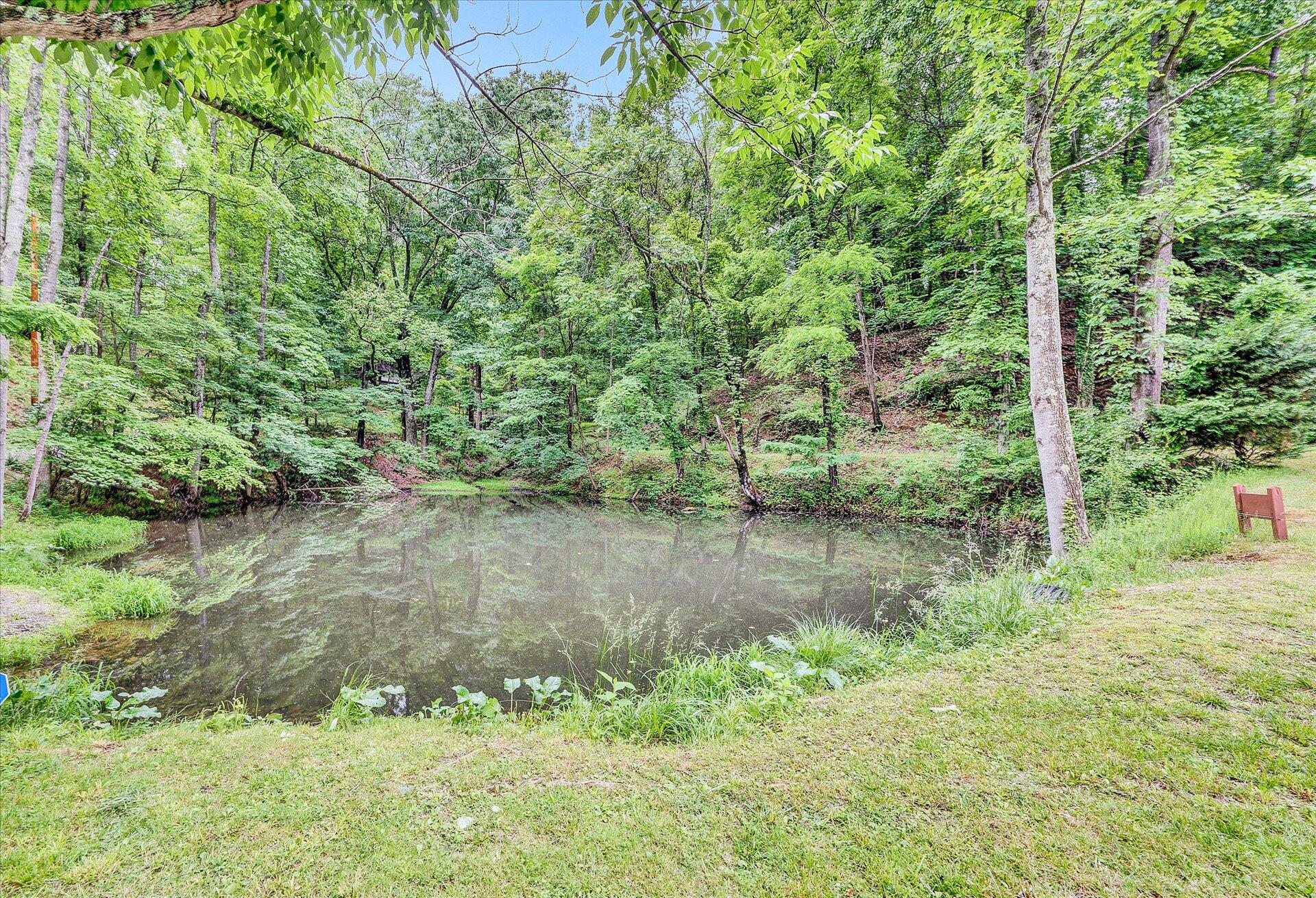 5519 Highfields Road Roanoke, VA 24018 - Photo 43 of 45 Pond Area in Neighborhood-1