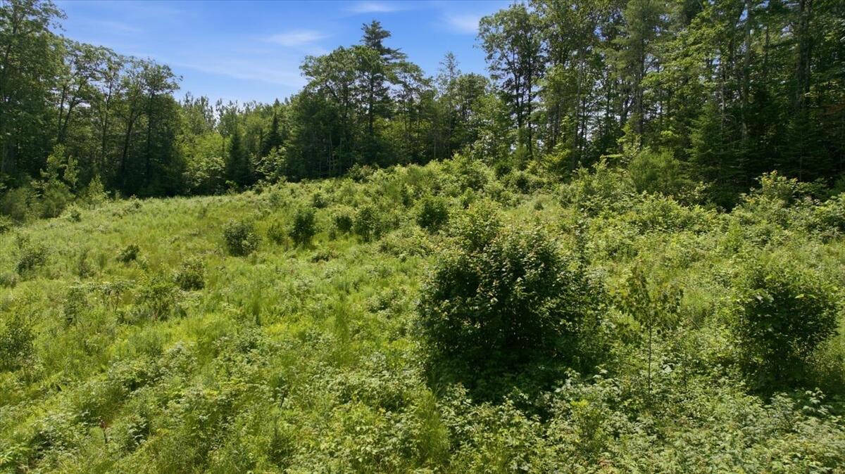 273 Wiley Road Greene, ME 04236 - Photo 9 of 21 Looking at lot from road