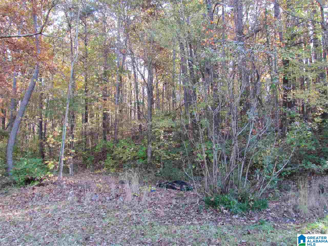 55 Jug Hollow Road Piedmont, AL 36272 - Photo 14 of 19