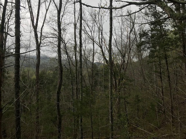 468 Co Road Englewood, TN 37329 - Photo 33 of 33