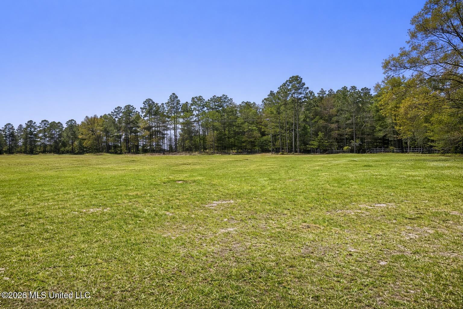 2.35-ac Brushy Creek Road Lucedale, MS 39452 - Photo 2 of 7 49898597-91C1-43AB-8D57-07597C6572B4