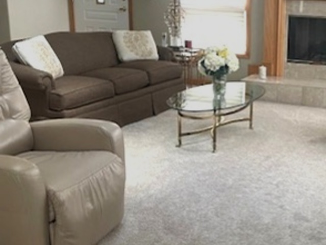 10 Moorings Drive Palos Heights, IL 60463 - Photo 2 of 19 a living room with furniture and a potted plant