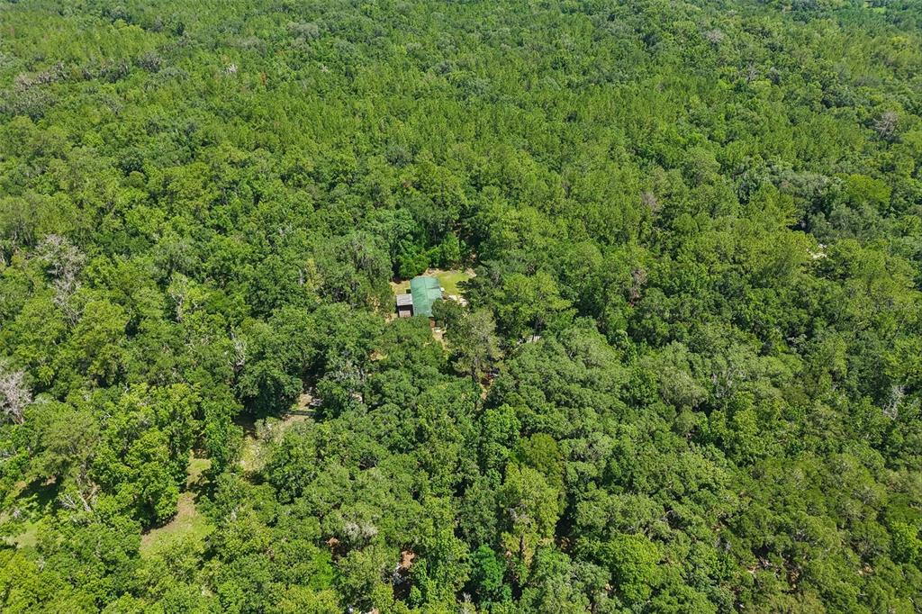 6221 Emerson Road Brooksville, FL 34601 - Photo 40 of 45