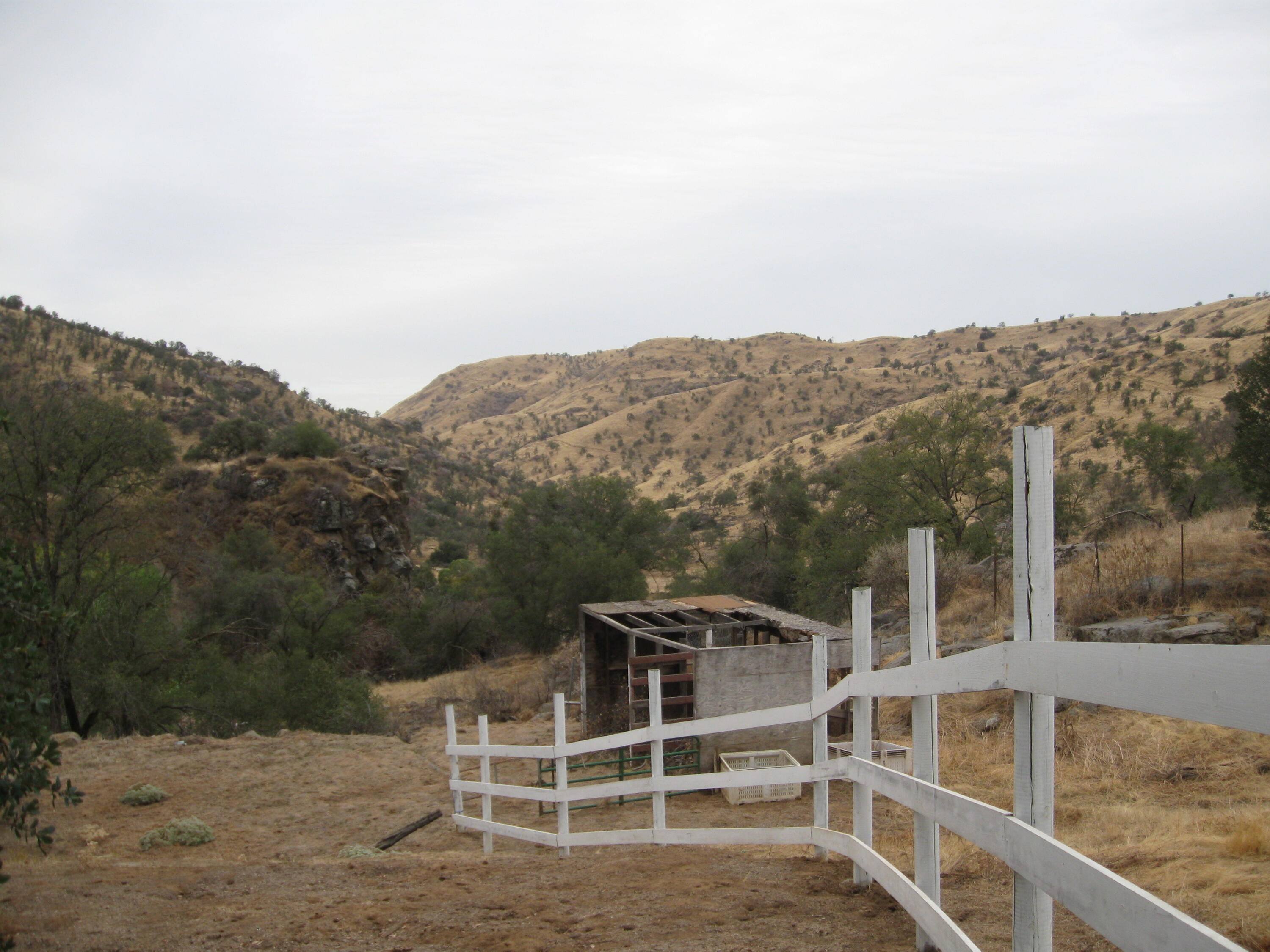 35548 Hummingbird Lane Squaw Valley, CA 93675 - Photo 29 of 33 IMG_4871