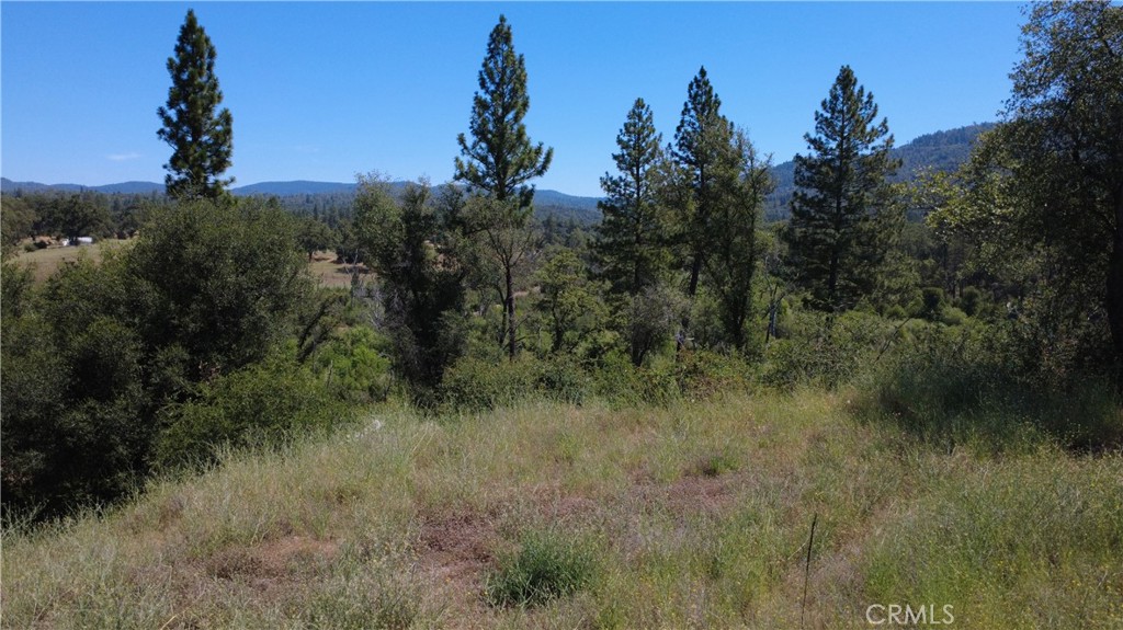 390 Darby Road Bangor, CA 95914 - Photo 12 of 20