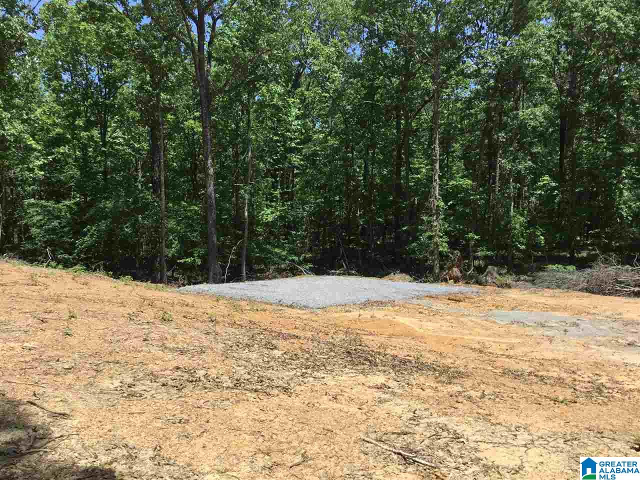 7237 Joinertown Road, Unit 7 09 ACRES Columbiana, AL 35051 - Photo 3 of 17
