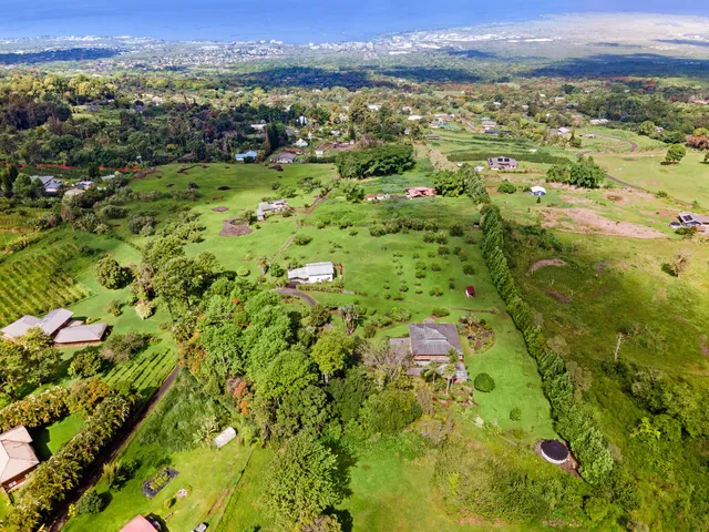 a view of a city with lush green forest