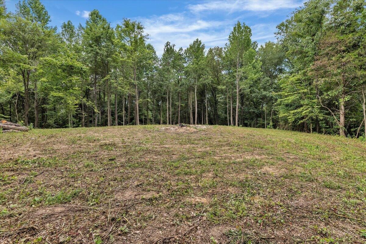 76 Meers Road Northwest Dalton, GA 30721 - Photo 17 of 49 Gallery Image 17