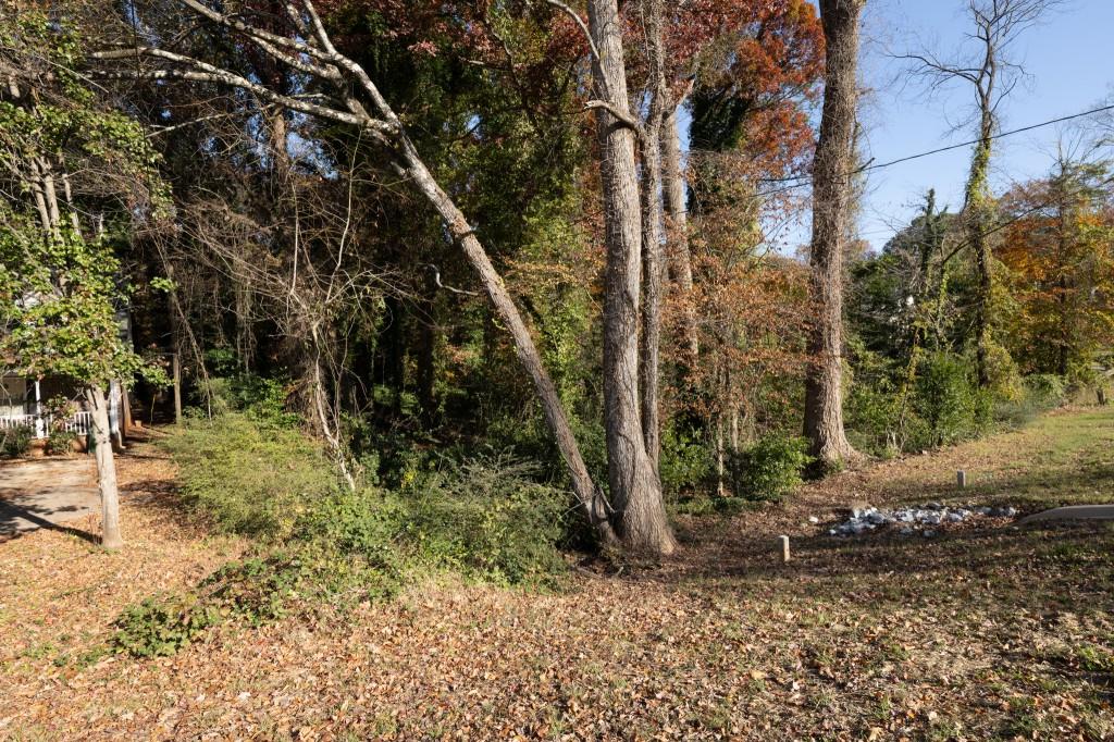 2924 Lavista Road Decatur, GA 30033 - Photo 13 of 34 a backyard of a house with lots of green space