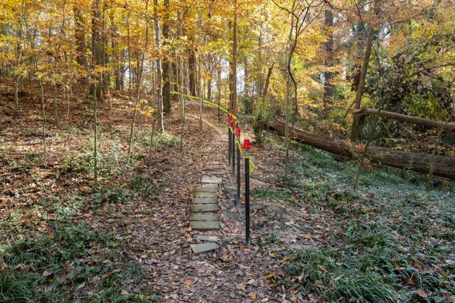 a bench is sitting in middle of forest