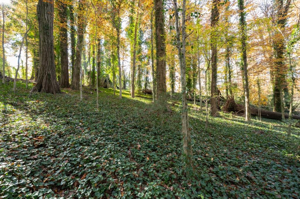 2924 Lavista Road Decatur, GA 30033 - Photo 20 of 34 a view of outdoor space and garden
