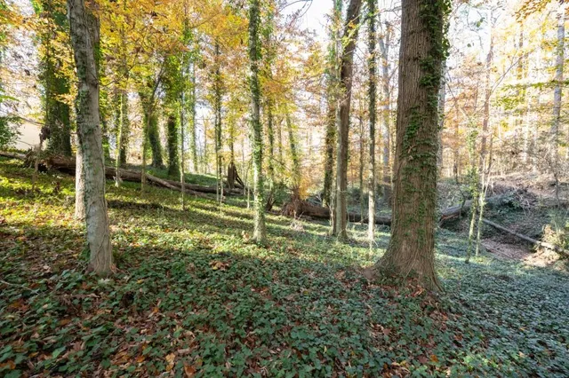 a view of backyard with green space