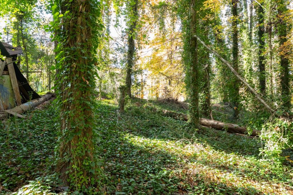 2924 Lavista Road Decatur, GA 30033 - Photo 24 of 34 a view of a garden with plants and large trees