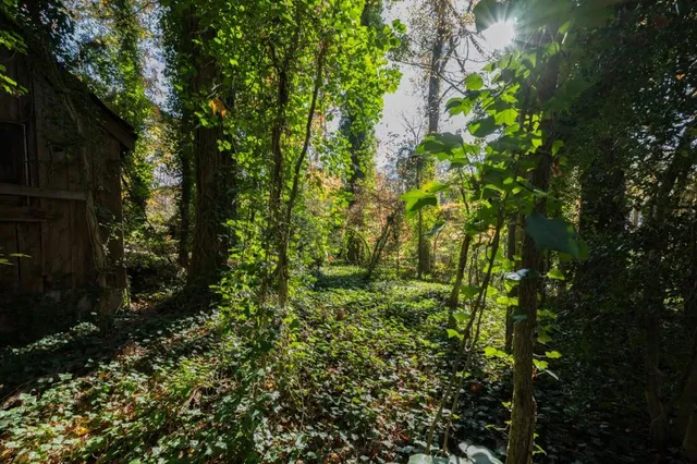 a view of outdoor space