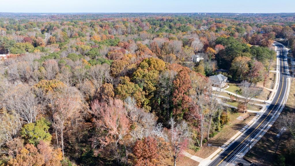 2924 Lavista Road Decatur, GA 30033 - Photo 6 of 34 a view of a forest with a forest