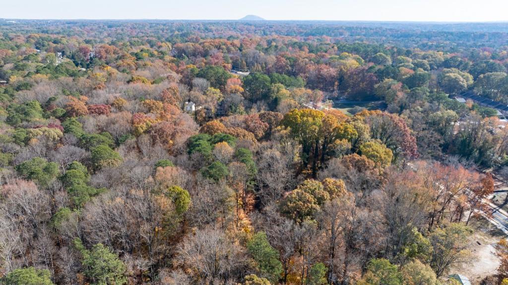 2924 Lavista Road Decatur, GA 30033 - Photo 8 of 34 an aerial view of residential house and green space
