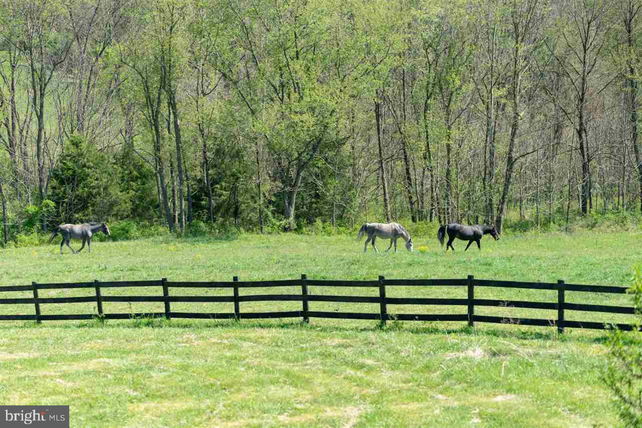 132 Ridge Road Timberville, VA 22853 - Photo 66 of 71 a view of a park