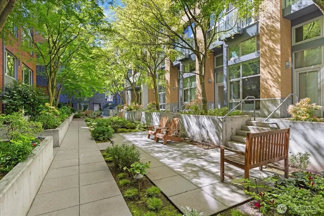 a outdoor space with a potted plant