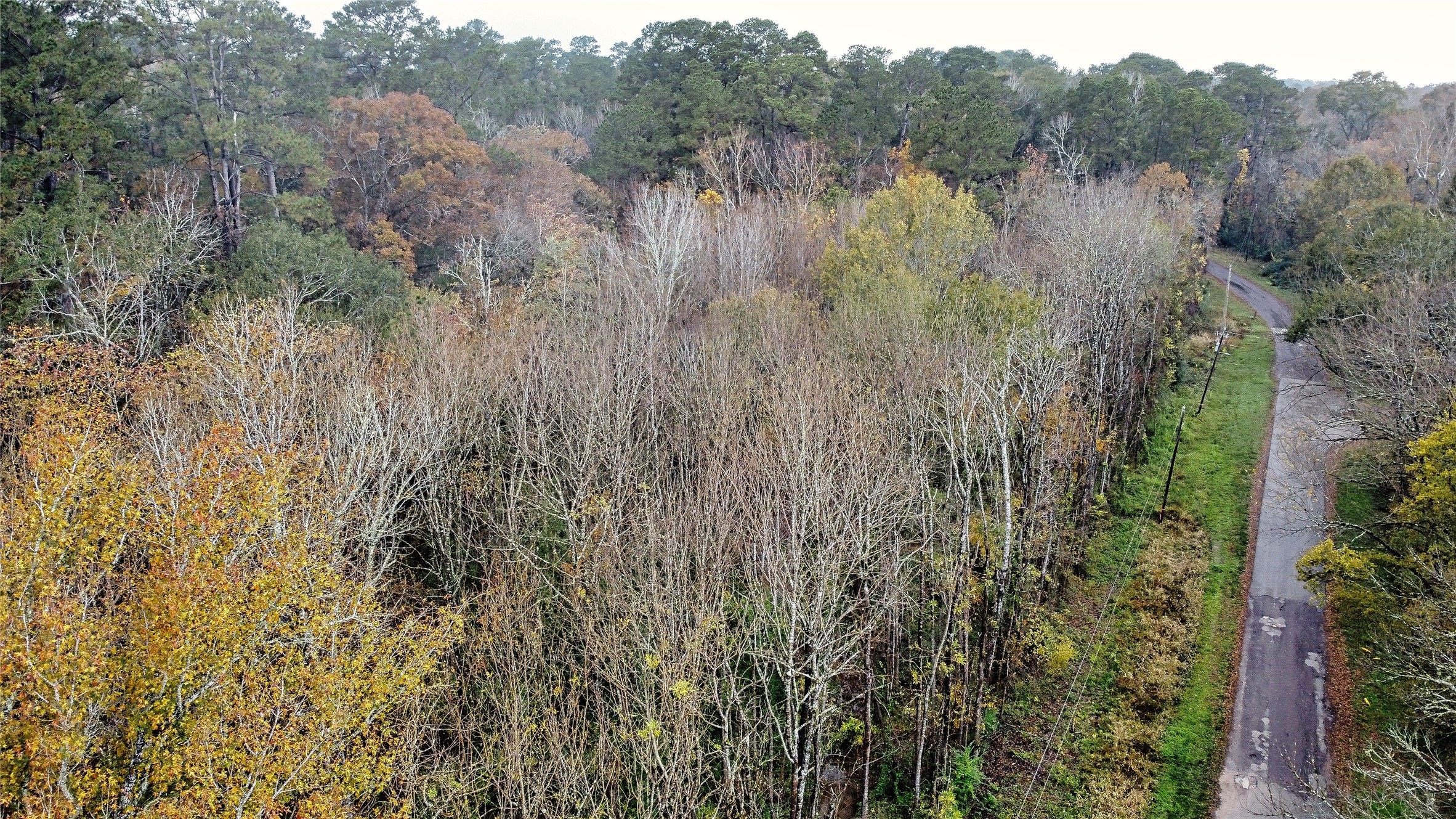 12651 Royal Creek Road Conroe, TX 77303 - Photo 12 of 13 a view of lake with green space