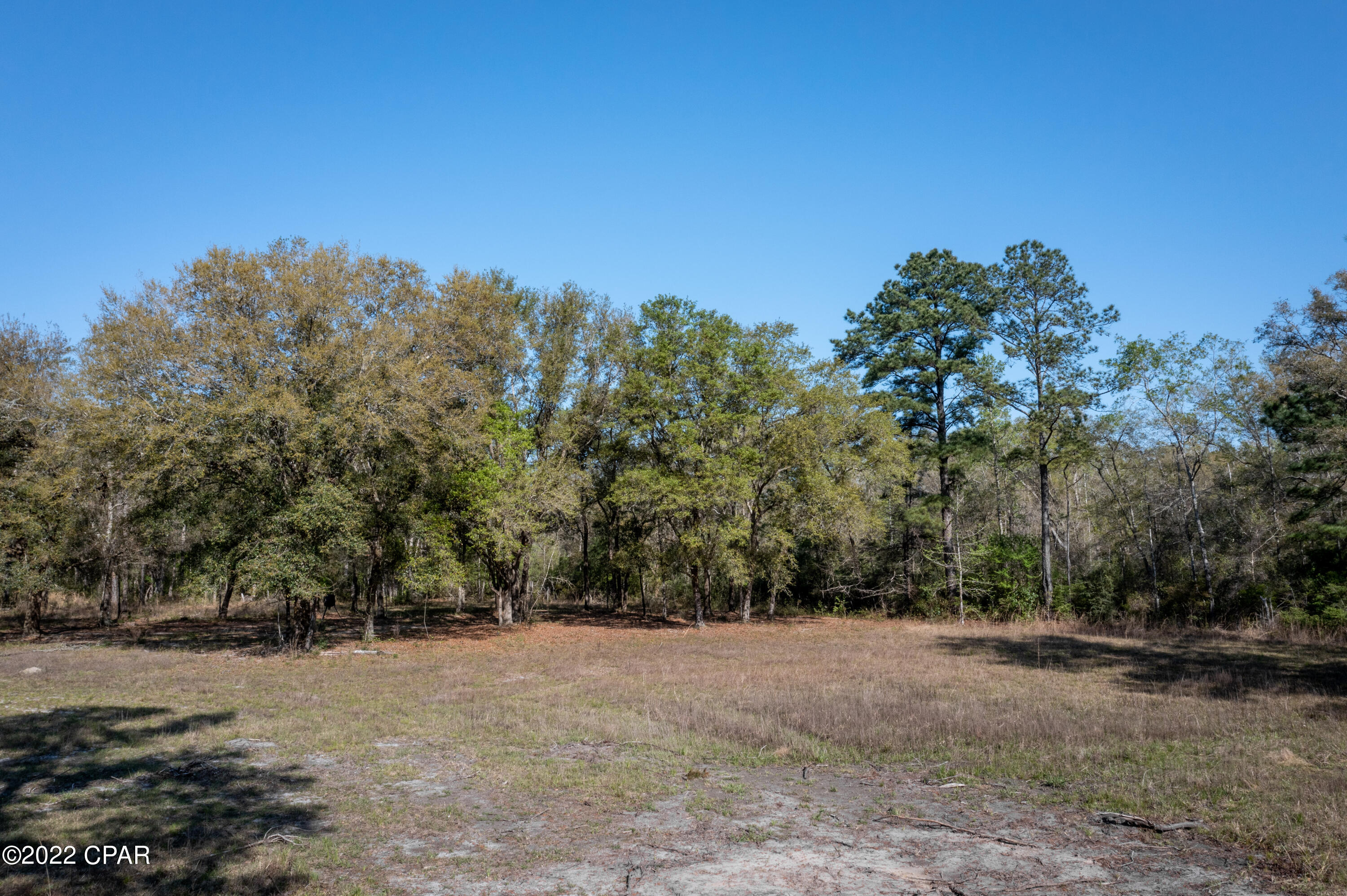3870 Shell Landing Road Vernon, FL 32462 - Photo 11 of 13