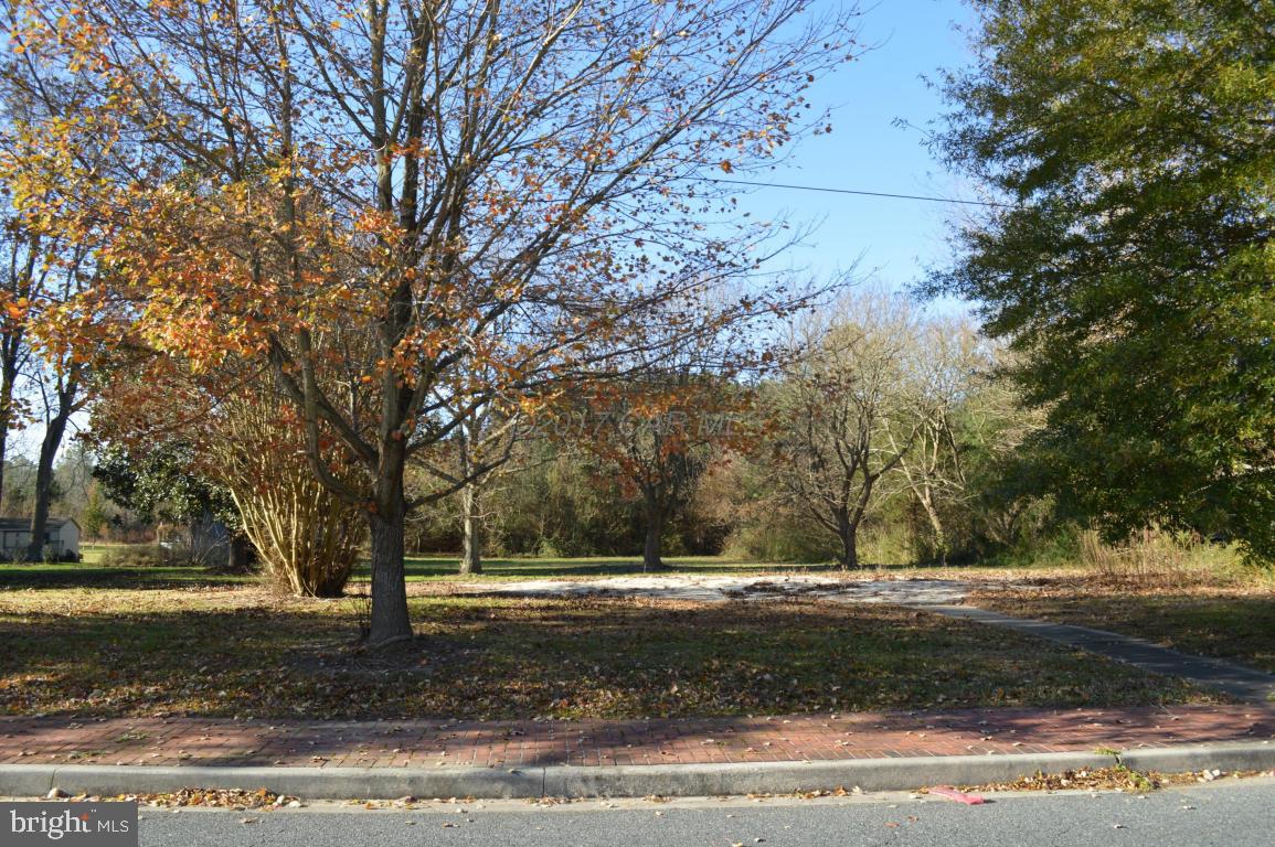 a view of a yard