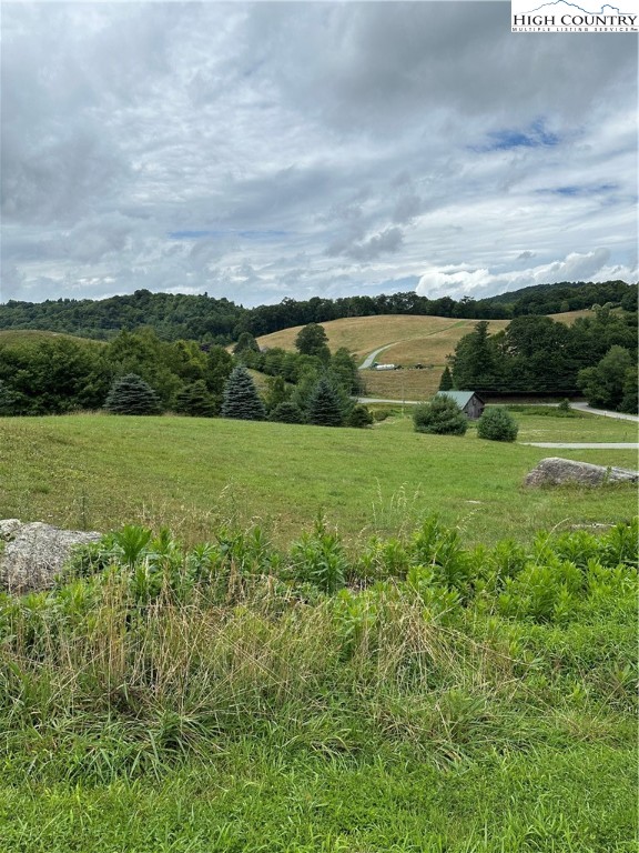 Lot 4 Brown Stone Ridge Drive Boone, NC 28607 - Photo 4 of 7 Gallery Image 4
