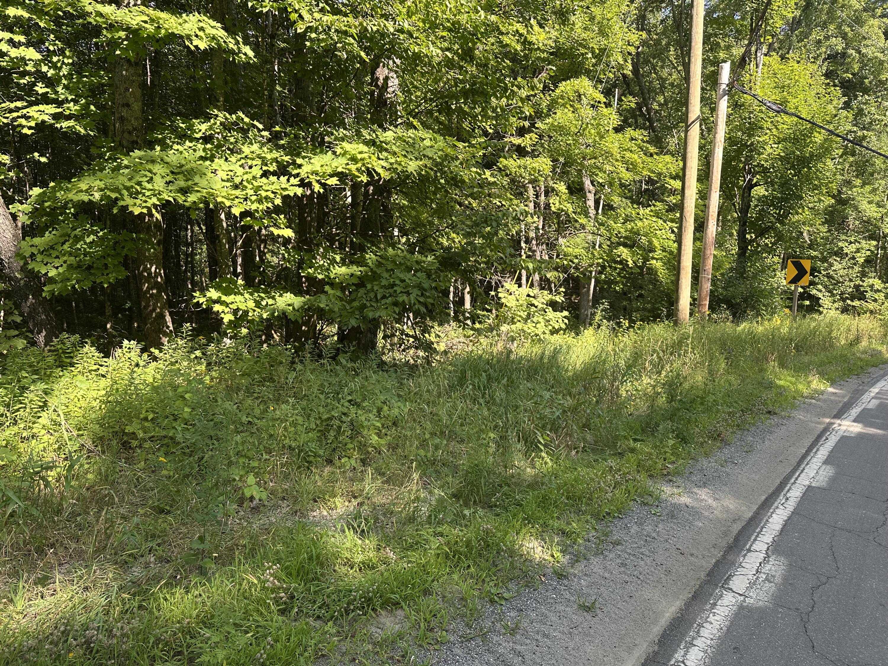 Map12-lot4 Starks Road New Sharon, ME 04955 - Photo 3 of 11 IMG_8948
