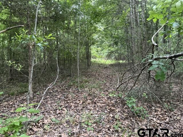 0 County Road 1204 Rusk, TX 75785 - Photo 30 of 32