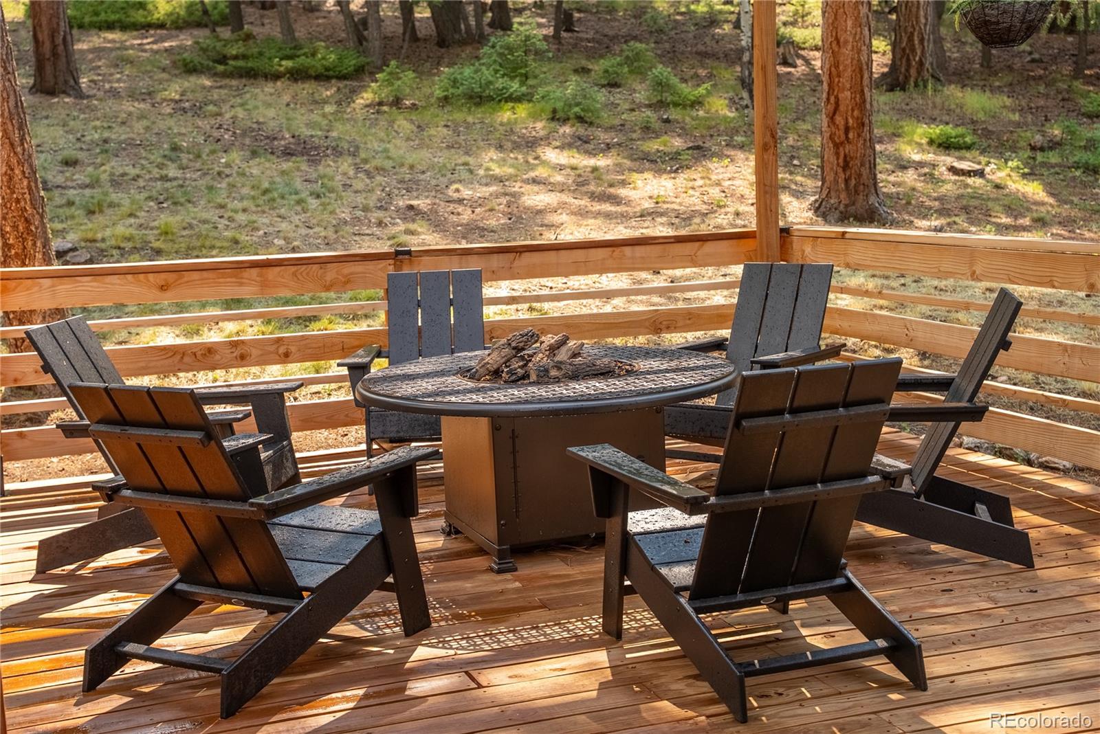 6549 Modoc Lane Evergreen, CO 80439 - Photo 47 of 50