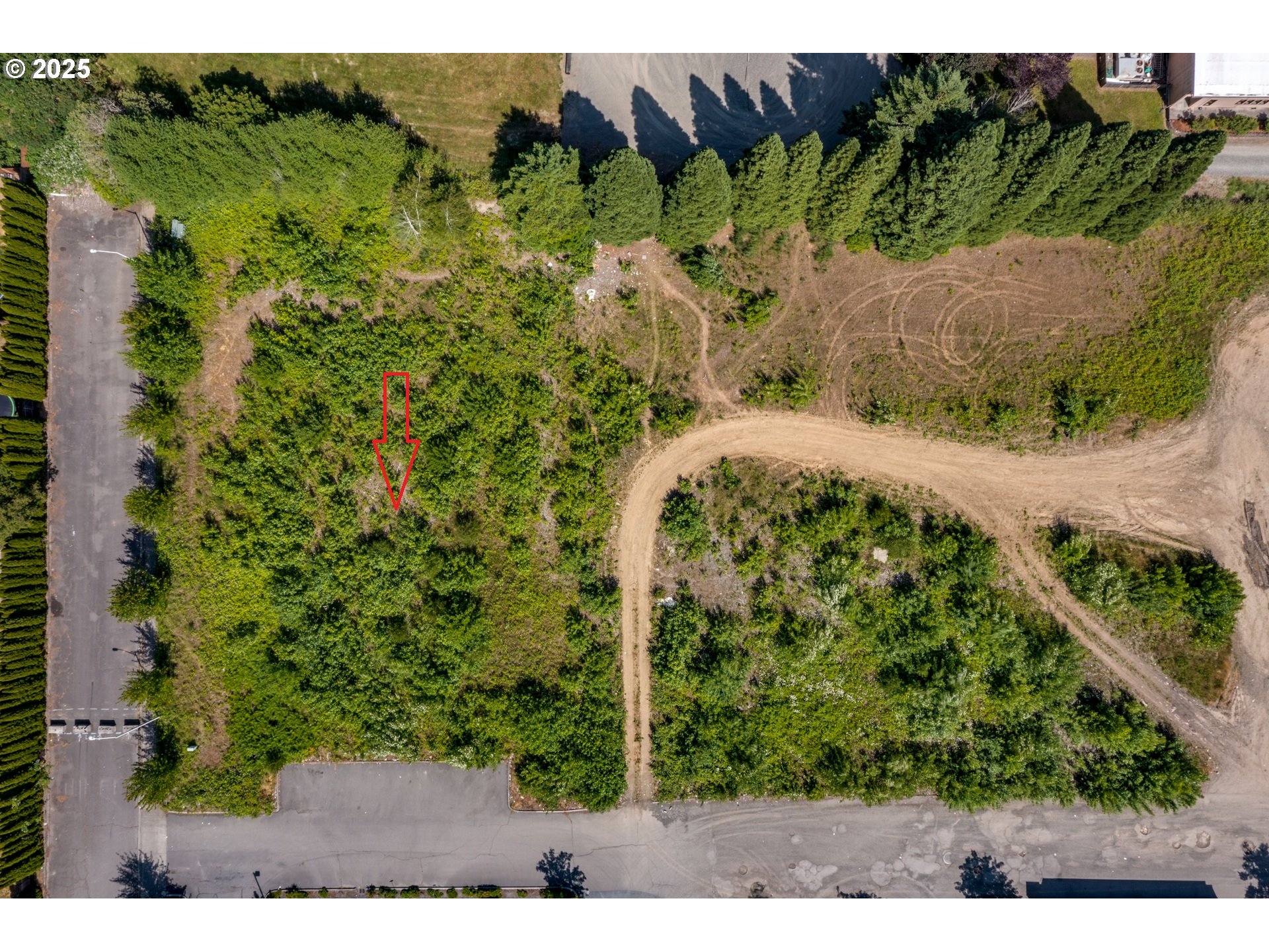 0 Northwest 2nd Street, Unit 3 Battle Ground, WA 98604 - Photo 10 of 12 a view of a backyard