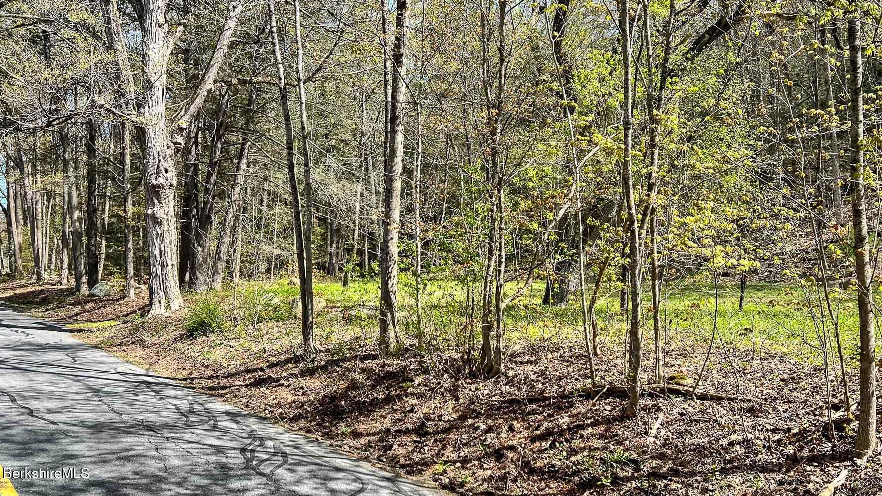 0 River Road Monterey, MA 01245 - Photo 14 of 14 0 River Rd-1