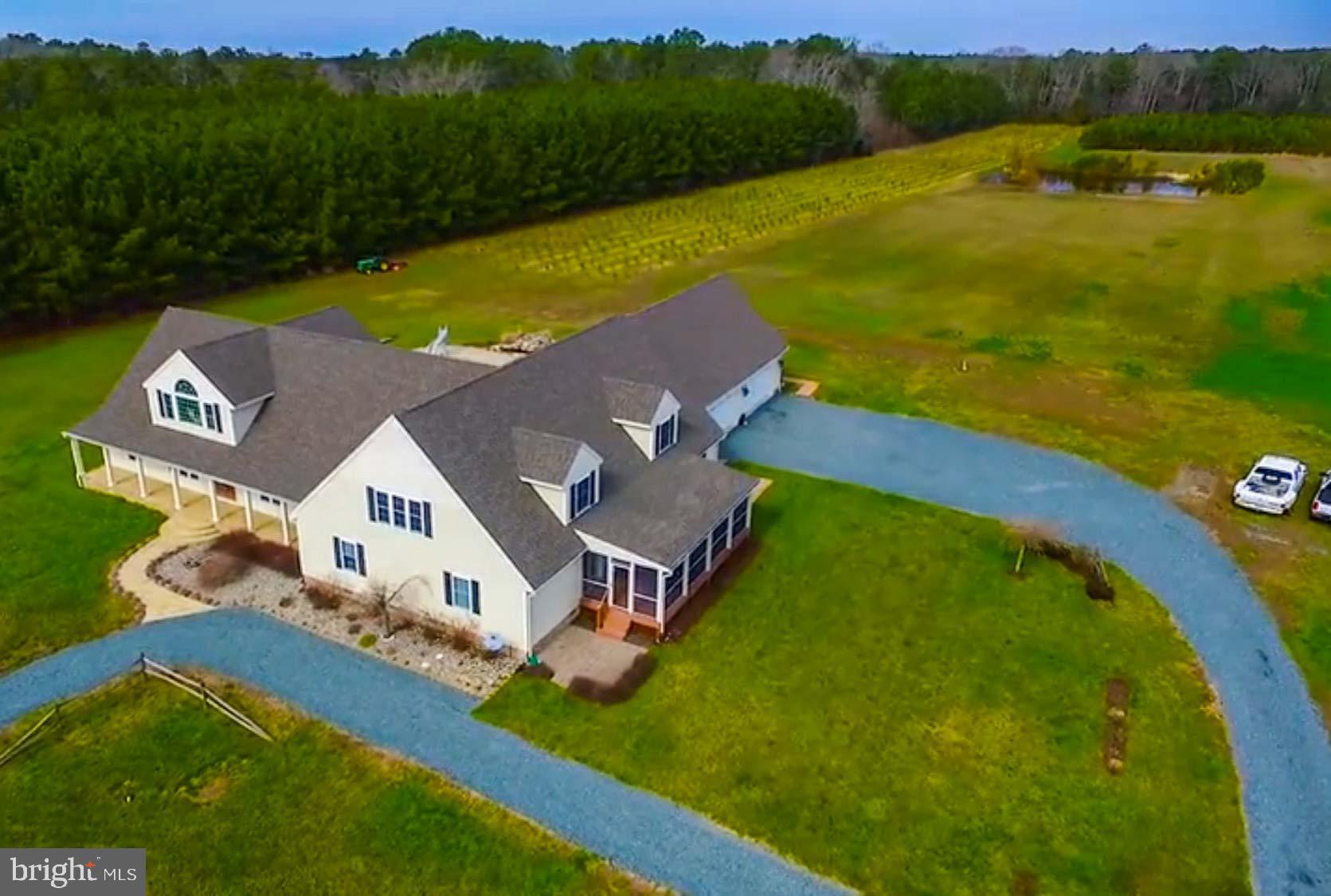 21774 Nanticoke Road Tyaskin, MD 21865 - Photo 2 of 100