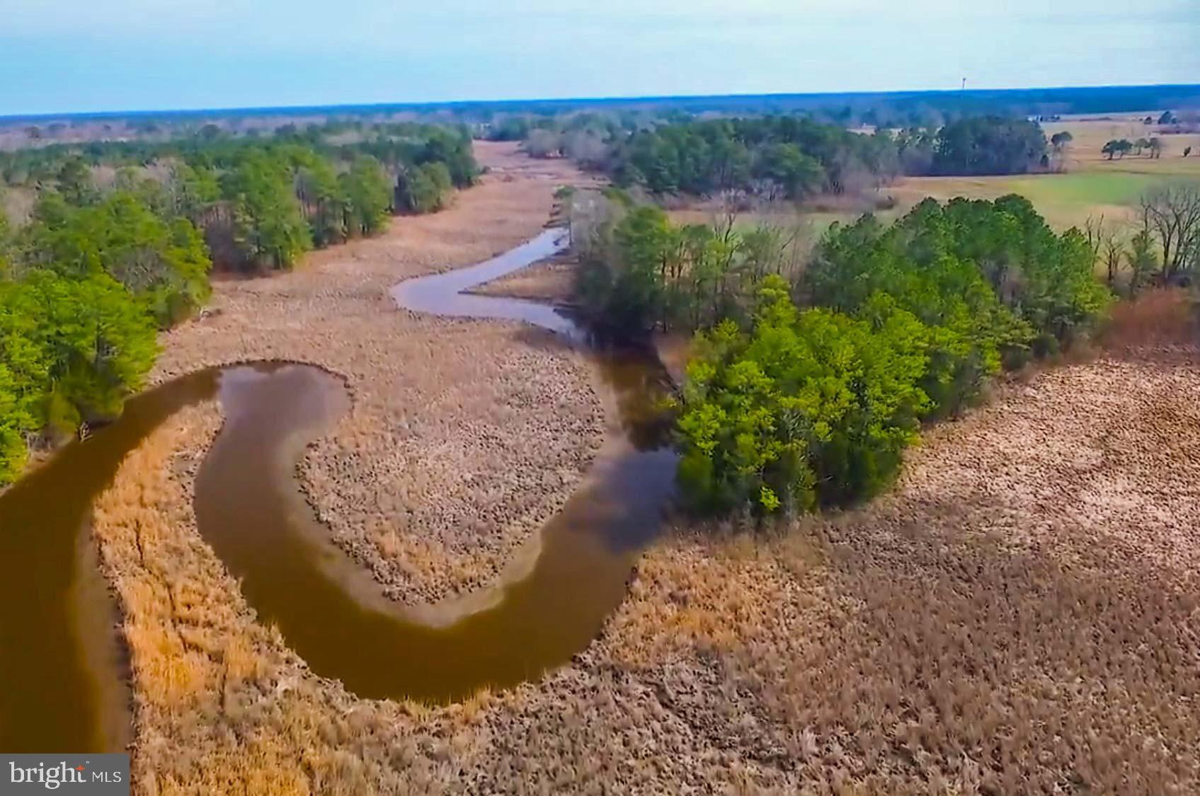 21774 Nanticoke Road Tyaskin, MD 21865 - Photo 94 of 100